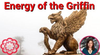 Energy of the Griffin 🌸