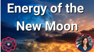 Energy of the New Moon 🌸