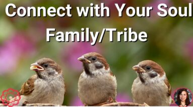 Energy to Connect You with Your Soul Family/Tribe