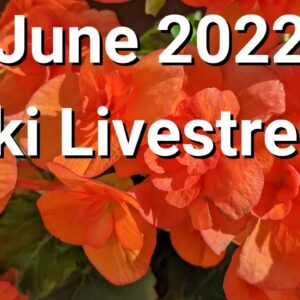 June 2022 Reiki Livestream 🌸