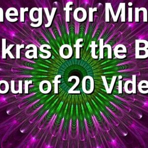 Minor Chakras of the Body, 20 Video Compilation! ðŸŒ¸
