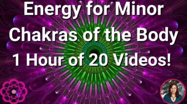 Minor Chakras of the Body, 20 Video Compilation! 🌸