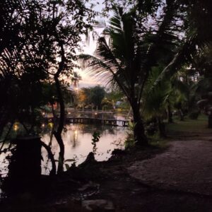Reiki: Relaxing walking in park Vietnam 4k 60fps