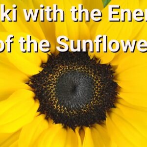 Reiki with the Energy of the Sunflower 💮