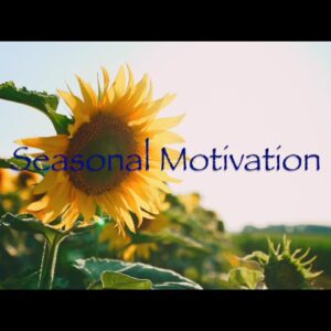 Seasonal Motivation