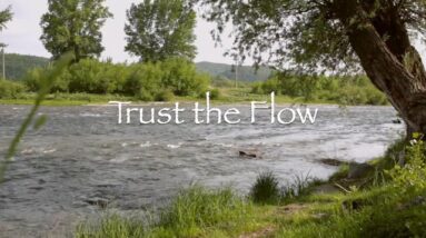 Trust the Flow