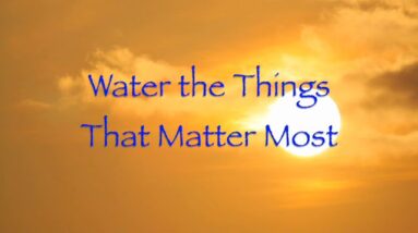Water the Things That Matter Most