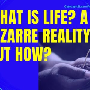 What is life? A Bizarre Reality, But How?