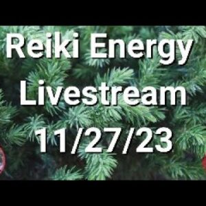 ðŸ”´Reiki Energy Livestream 11/27/23