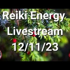 🔴Reiki Energy Livestream 12/11/23