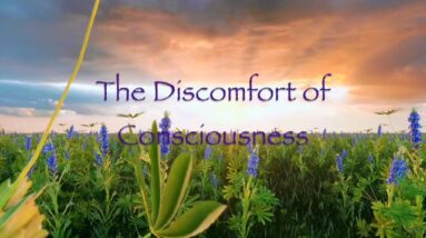 The Discomfort of Consciousness