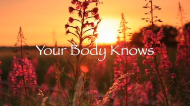 Your Body Knows